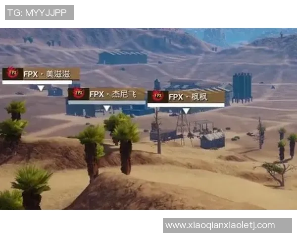 和平精英战队FPX的耐力与策略深度分析与探讨